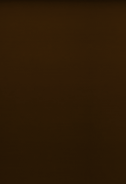 Estores Enrollables 100% Opacos Caucaso 2