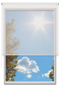 Estores Enrollables Screen Vision 10%