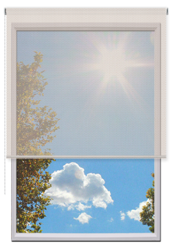 Estores Enrollables Screen Vision 10%