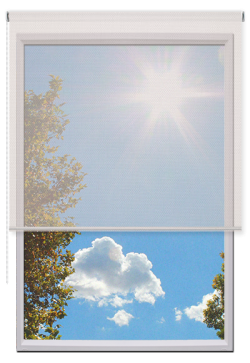 Estores Enrollables Screen Vision 10%