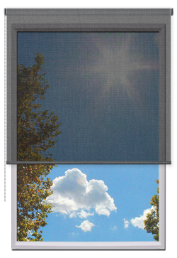 Estores Enrollables Screen Vision 10%