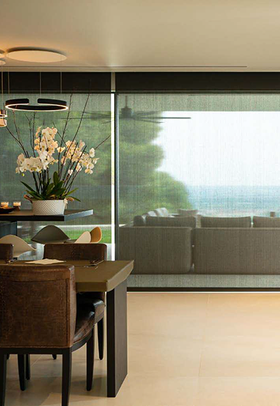 Cortinas Enrollables Screen Vision 10%