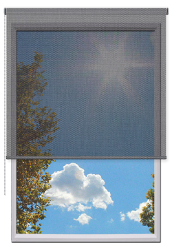 Estores Enrollables Screen Vision 10%