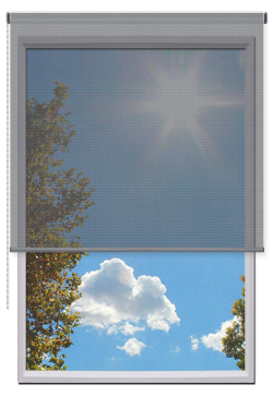 Estores Enrollables Screen Vision 10%