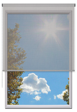 Estores Enrollables Screen Vision 10%