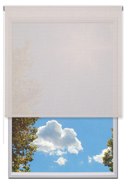 Estores Enrollables Screen Vision 1%