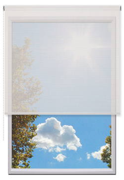 Estores Enrollables Screen Vision 3%