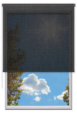 Estores Enrollables Screen Vision 3%