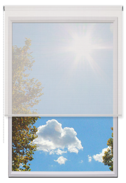 Estores Enrollables Screen Vision 5%