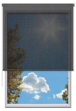 Estores Enrollables Screen Vision 5%