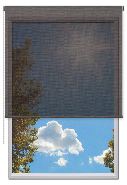 Estores Enrollables Screen Vision 5%