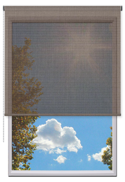 Estores Enrollables Screen Vision 5%