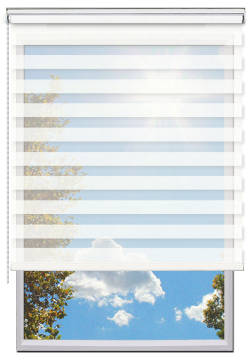Estores Enrollables Noche y Día Búfalo