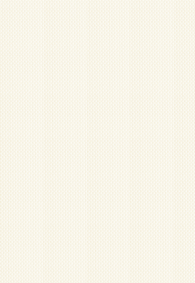 Panel Japones Screen Natté 380P 5%